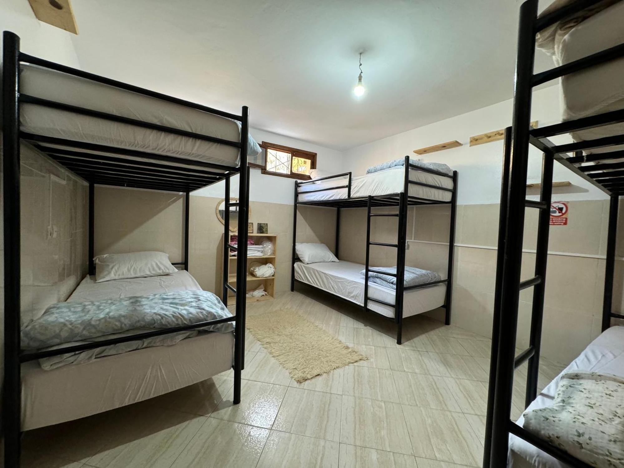 We Surf Morocco Boutique House Hostel Taghazout Exterior photo
